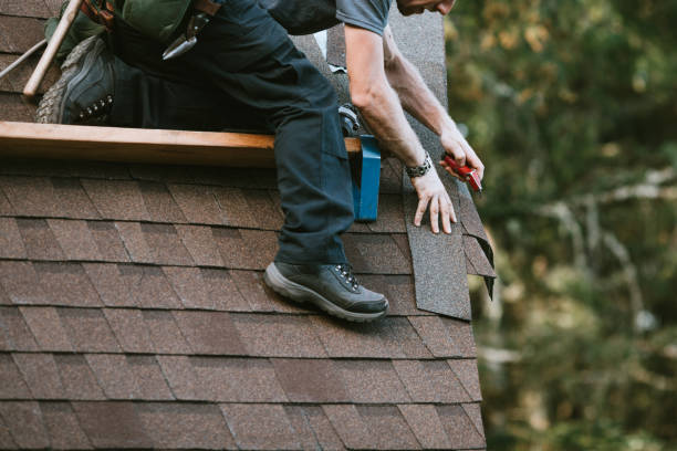 Best Metal Roofing Contractor  in Hanapepe, HI
