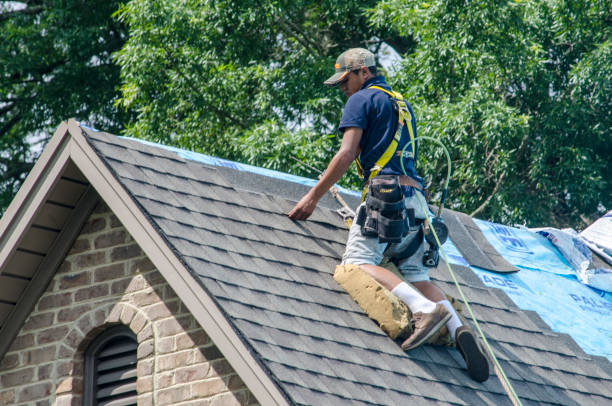 Best Flat Roof Repair Services  in Hanapepe, HI